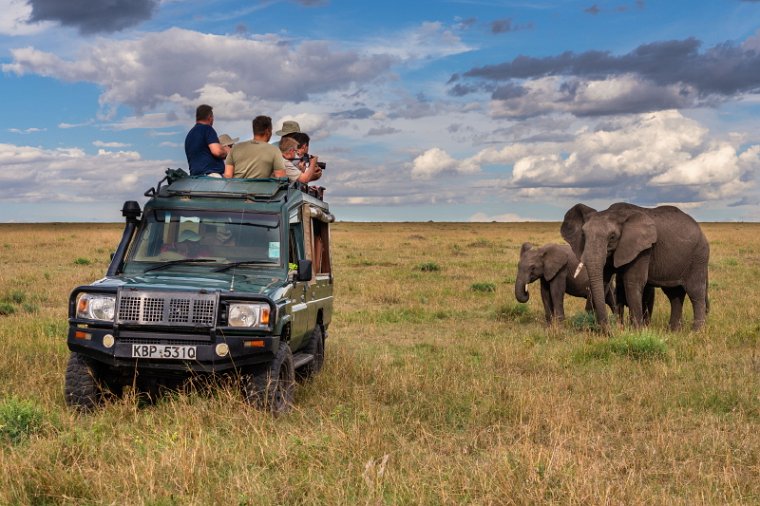 035 Masai Mara.jpg